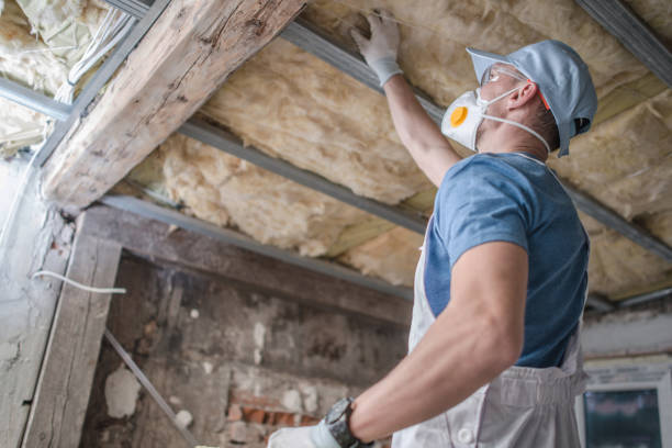 Best Garage Insulation Installation  in Cedar Hill, TX