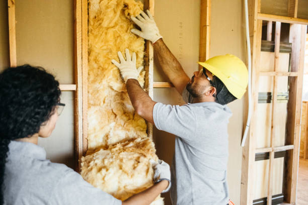 Insulation Inspection Services in Cedar Hill, TX