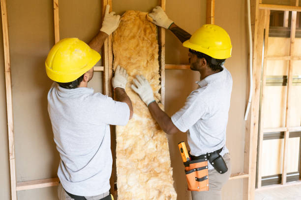Best Crawl Space Insulation  in Cedar Hill, TX