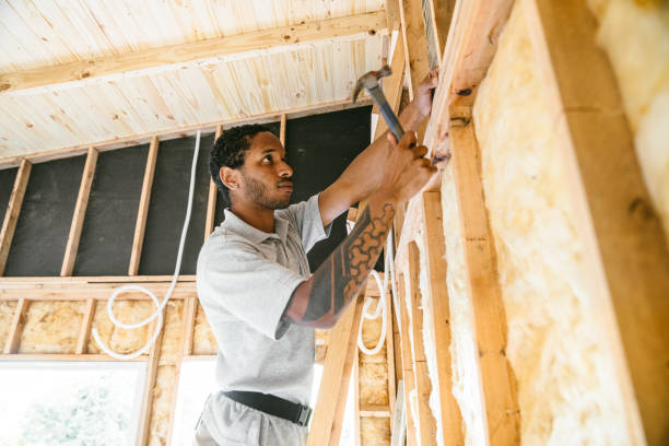 Best Residential Insulation Services  in Cedar Hill, TX