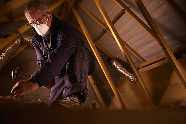 Best Local Insulation Services  in Cedar Hill, TX