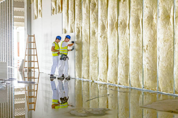 Best Insulation Inspection Services  in Cedar Hill, TX